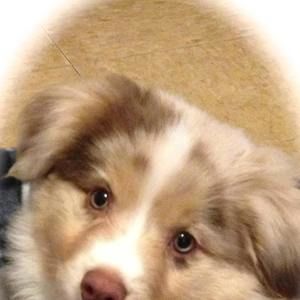 Meet your Posher, Jim